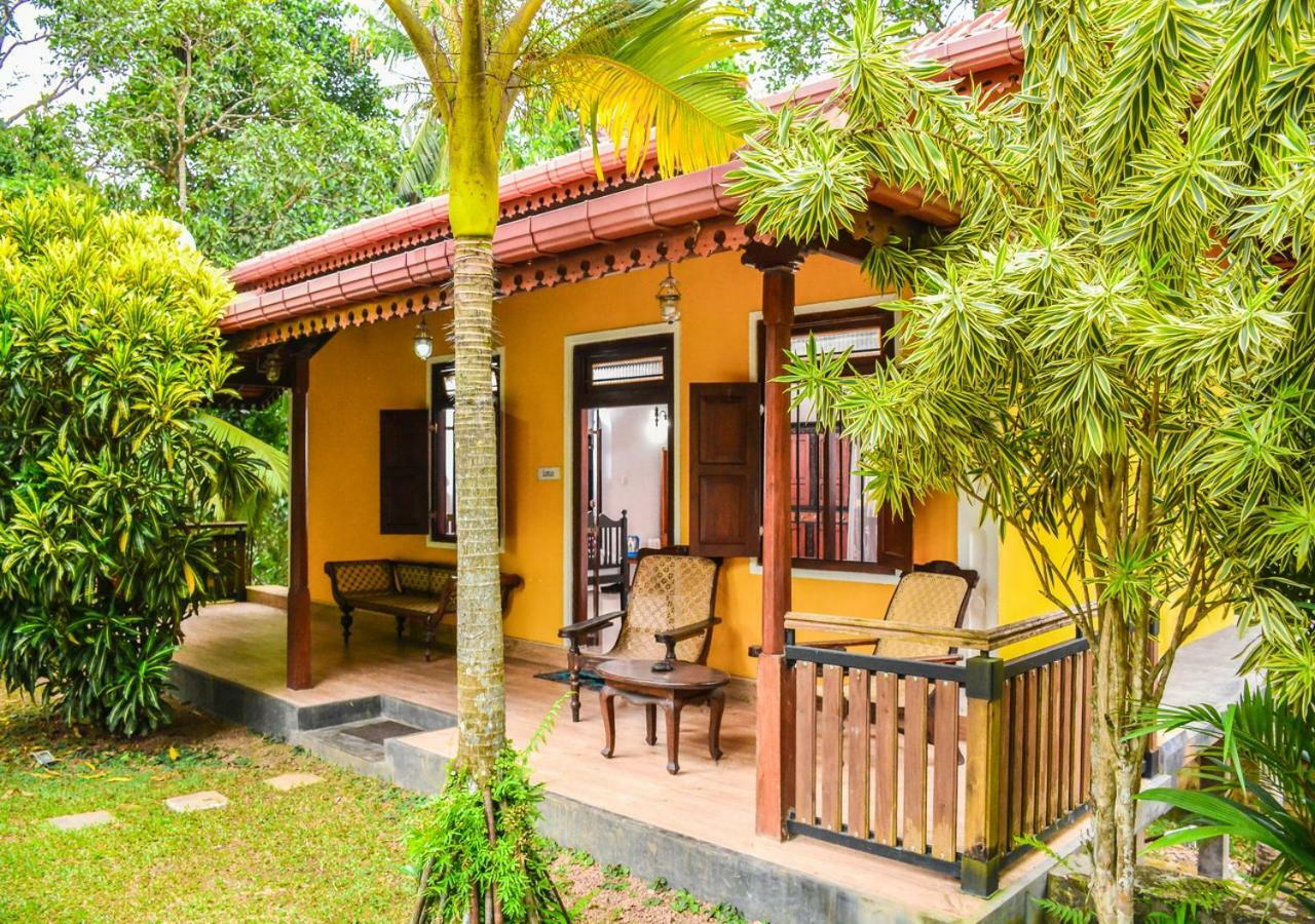 Araliya Gardens Hotel Hikkaduwa Buitenkant foto