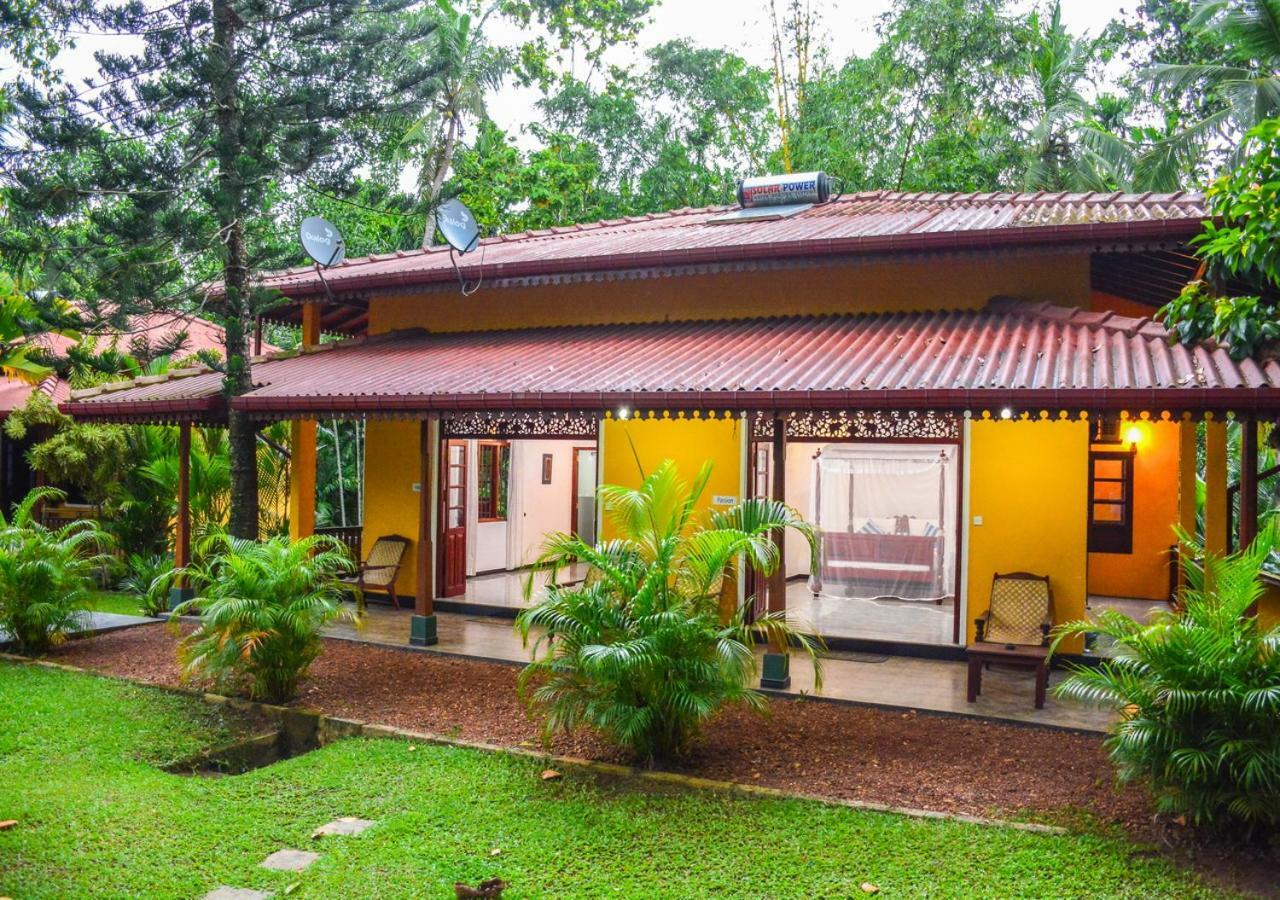 Araliya Gardens Hotel Hikkaduwa Buitenkant foto