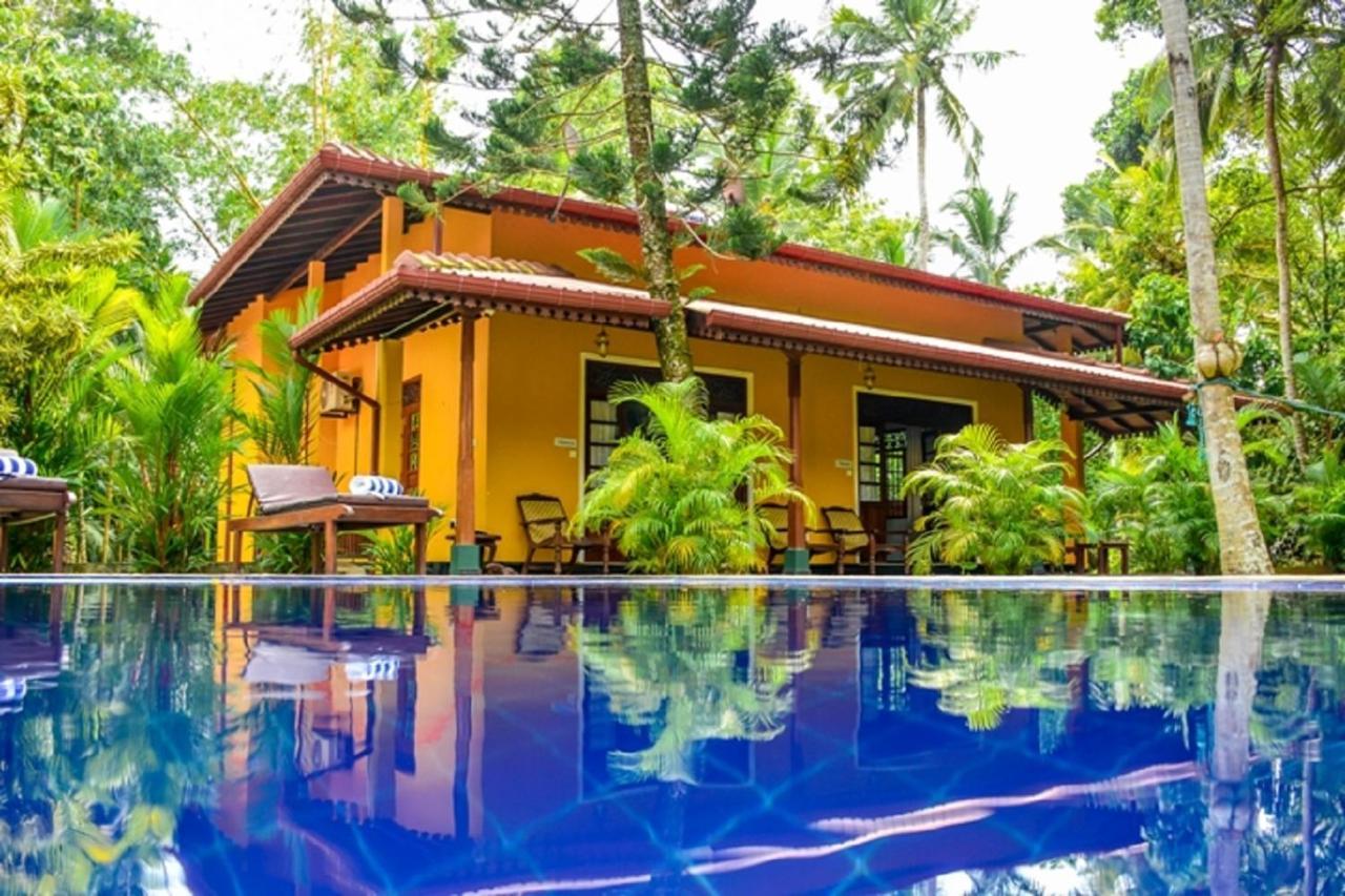 Araliya Gardens Hotel Hikkaduwa Buitenkant foto